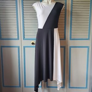 Roz & Ali Black & White Colorblock Dress